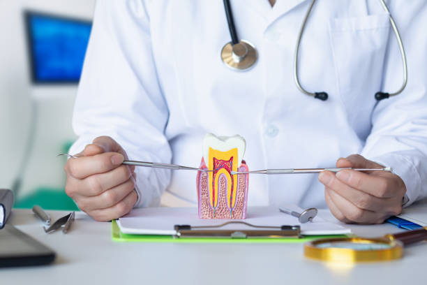 Best Urgent Tooth Repair  in West Columbia, TX